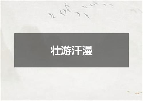 壮游汗漫