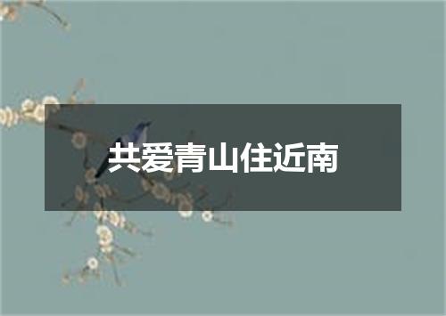 共爱青山住近南