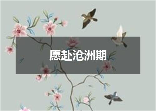 愿赴沧洲期