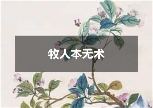 牧人本无术