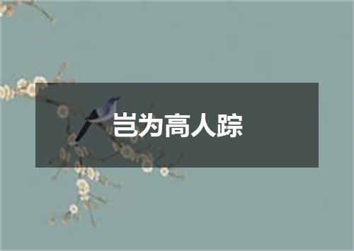 岂为高人踪