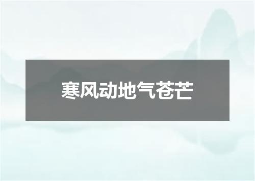 寒风动地气苍芒