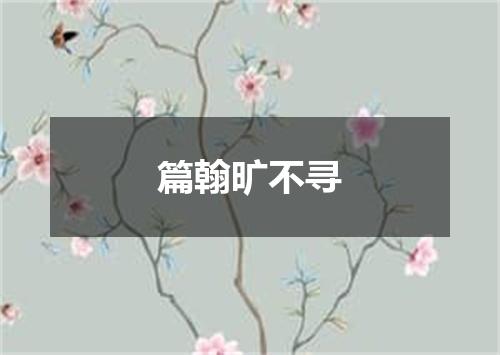 篇翰旷不寻
