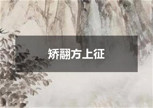 矫翮方上征