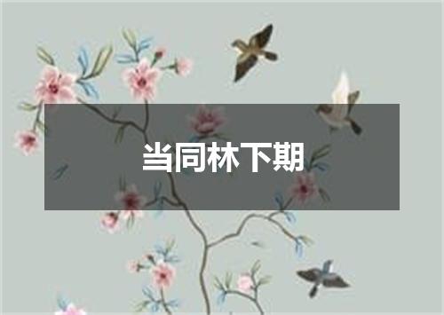 当同林下期