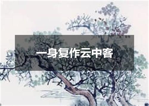 一身复作云中客