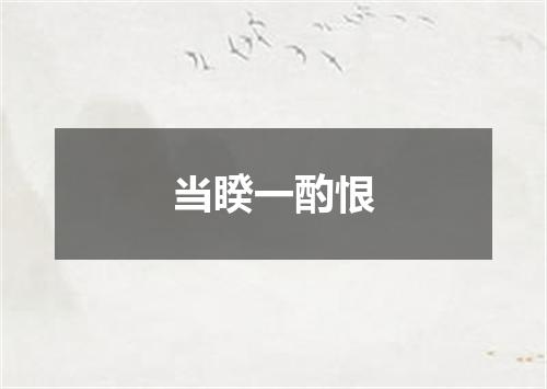 当睽一酌恨
