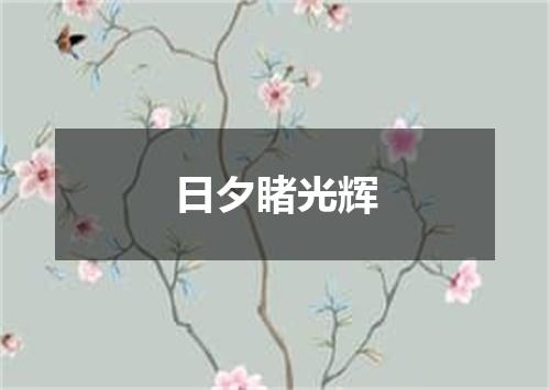 日夕睹光辉