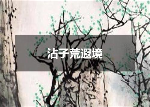 沾子荒遐境
