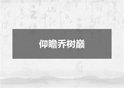 仰瞻乔树巅