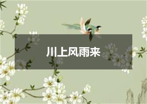 川上风雨来