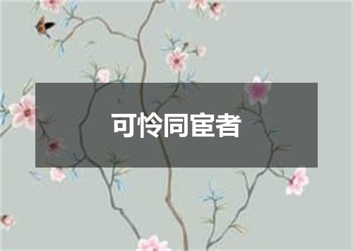 可怜同宦者