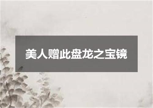 美人赠此盘龙之宝镜