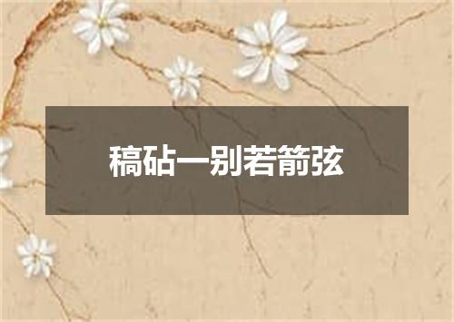 稿砧一别若箭弦