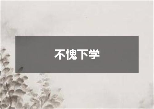 不愧下学