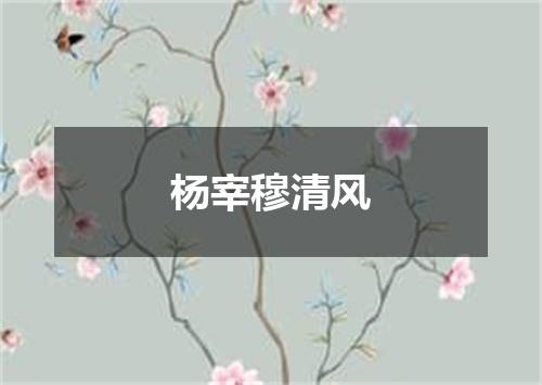 杨宰穆清风