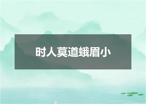 时人莫道蛾眉小