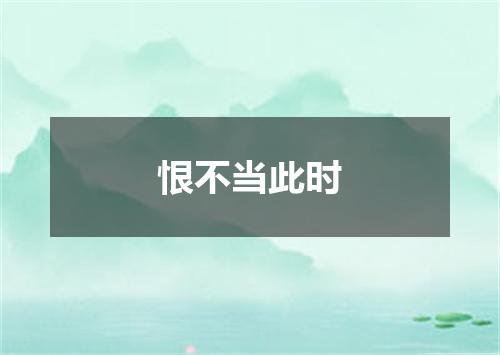 恨不当此时