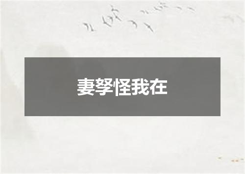 妻孥怪我在