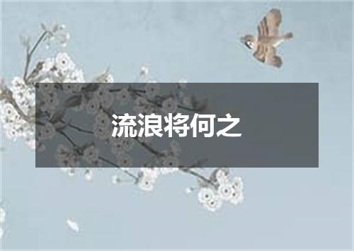 流浪将何之