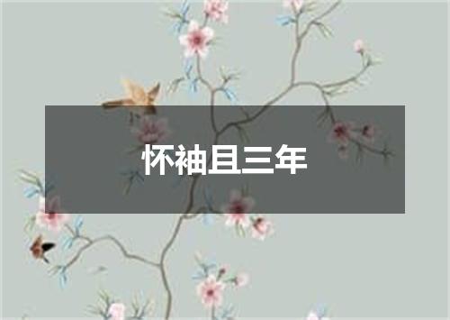 怀袖且三年