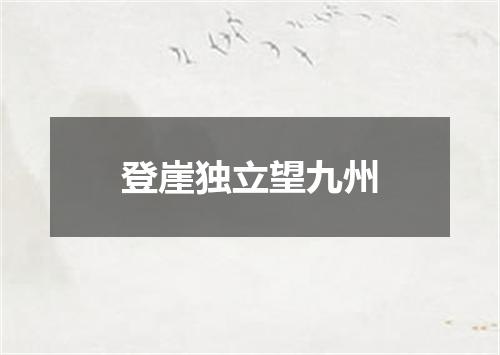登崖独立望九州
