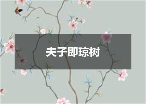夫子即琼树