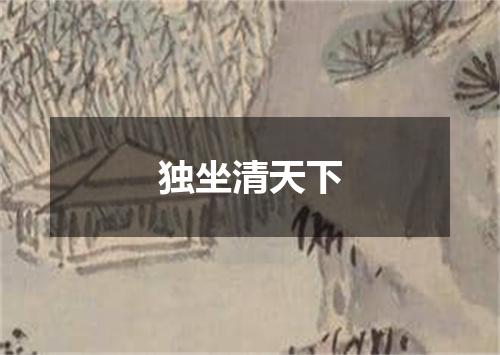 独坐清天下
