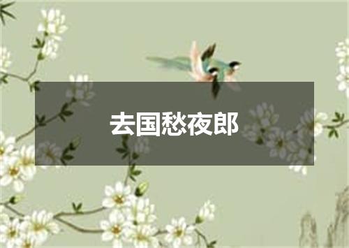 去国愁夜郎