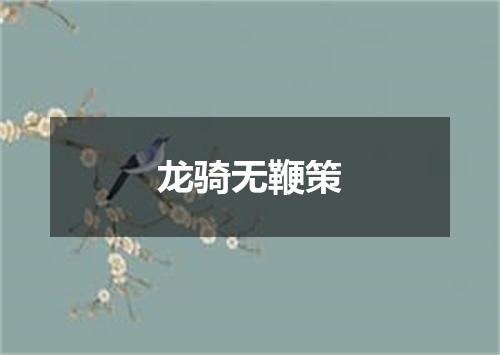 龙骑无鞭策