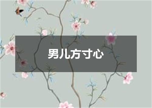 男儿方寸心