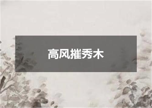 高风摧秀木