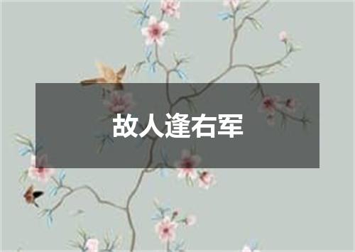 故人逢右军