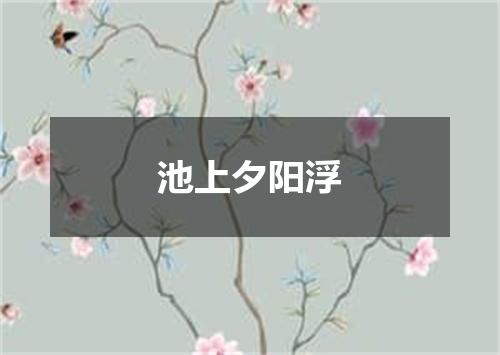 池上夕阳浮
