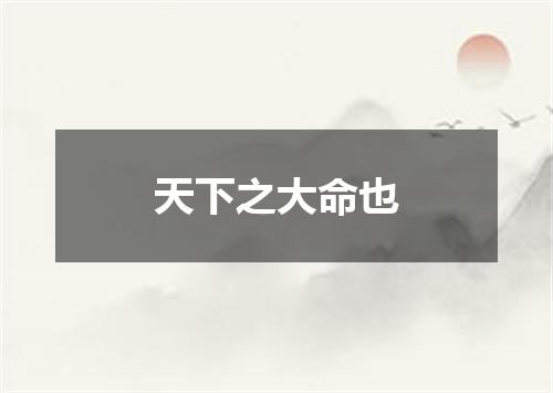 天下之大命也