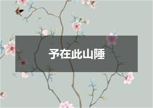 予在此山陲