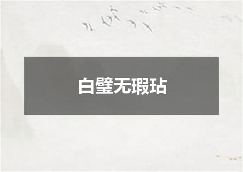 白璧无瑕玷
