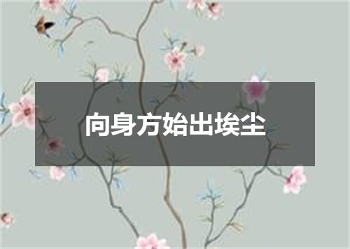向身方始出埃尘