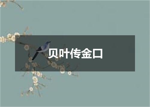 贝叶传金口