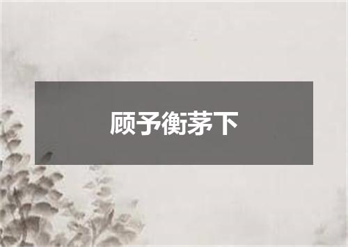 顾予衡茅下