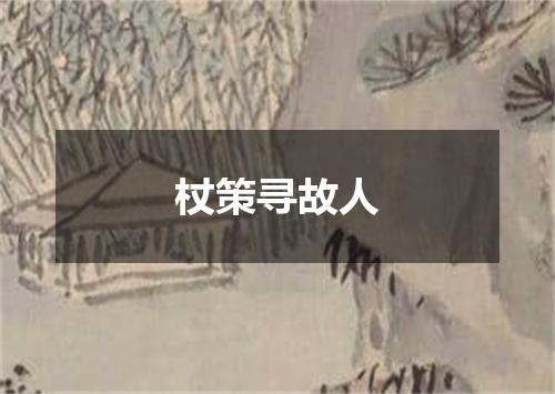 杖策寻故人