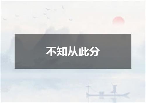 不知从此分
