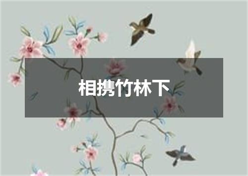 相携竹林下