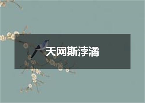 天网斯浡潏