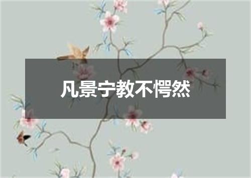 凡景宁教不愕然