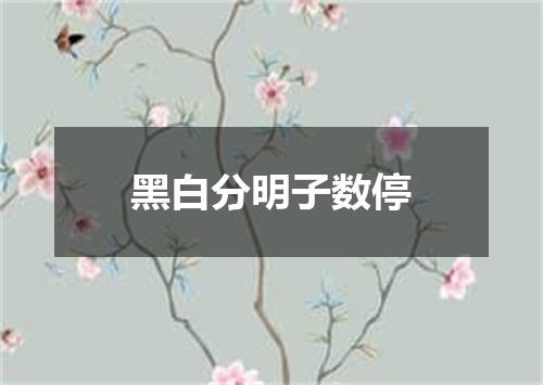 黑白分明子数停
