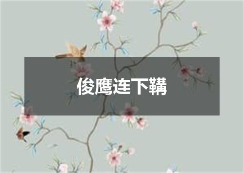 俊鹰连下鞲