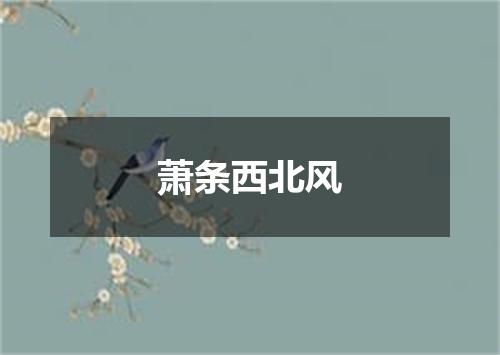 萧条西北风