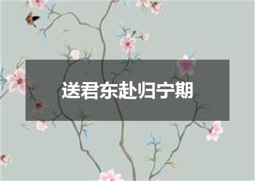 送君东赴归宁期