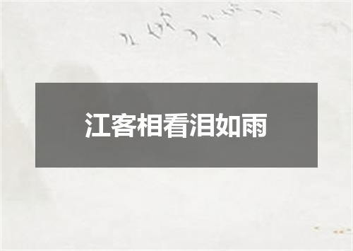江客相看泪如雨